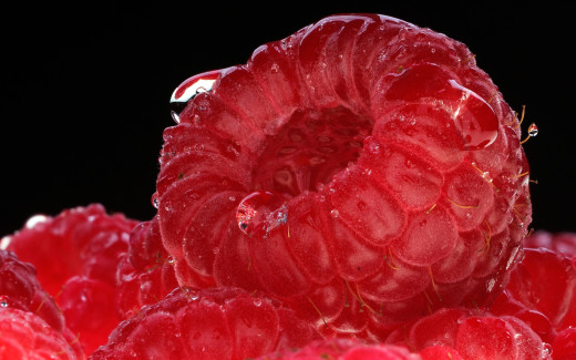 888599 (a): :2500x1559